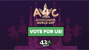 Vote for us at The Auto World Cup 2024 that will be held in Barcelona!