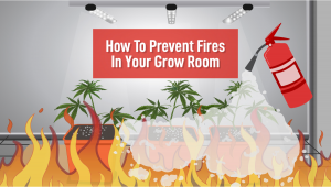 How To Prevent Fires In Your Grow Room