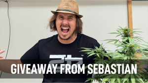 Giveaway From Sebastian: 5 winners will get free seeds!