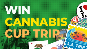 Gewinnen Sie eine unglaubliche Reise zum HIGH TIMES Plants Cup in L.A.