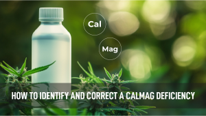 How to Identify and Correct a CalMag Deficiency