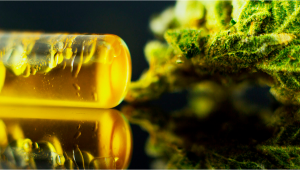 New Cannabinoid Extracted From Hemp: CBM