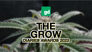 Wir haben zwei Preise beim Grow Diaries Awards 2023 gewonnen!